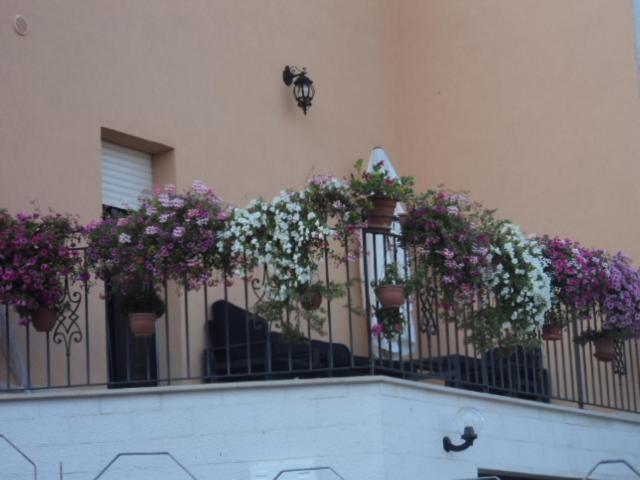 Bed and Breakfast La Casa Dei Fiori Montecilfone Zewnętrze zdjęcie